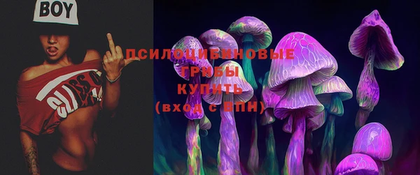 apvp Алексеевка