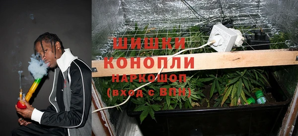 крисы Абдулино